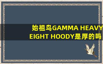 始祖鸟GAMMA HEAVYWEIGHT HOODY是厚的吗